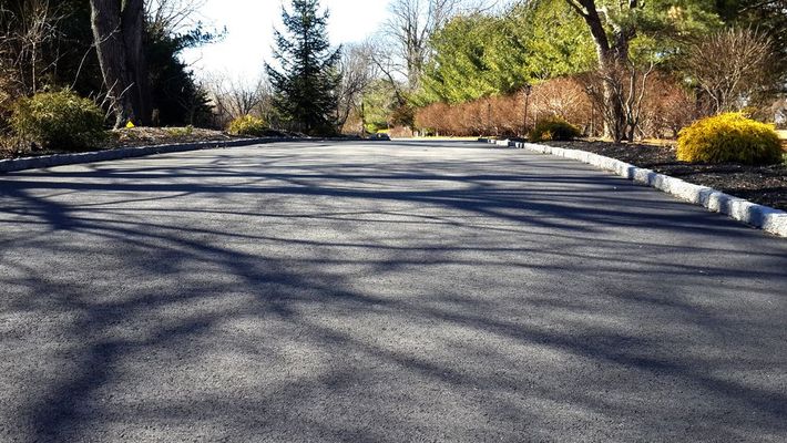 Sunlit empty road with trees and shrubs casting long shadows