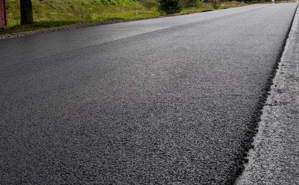 Wet asphalt road curving past a grassy roadside, with a white edge line on the right