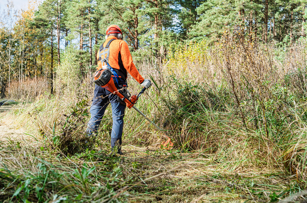 Land clearing and vegetation management