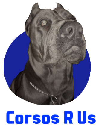 Beyond the Paw Resort & Spaw Beyond the Paw Resort & Spaw