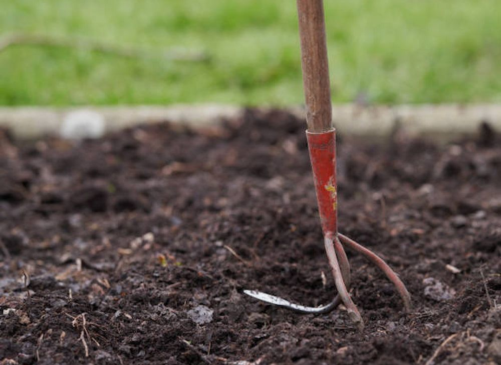 Garden fork in dark soil, ready for planting.