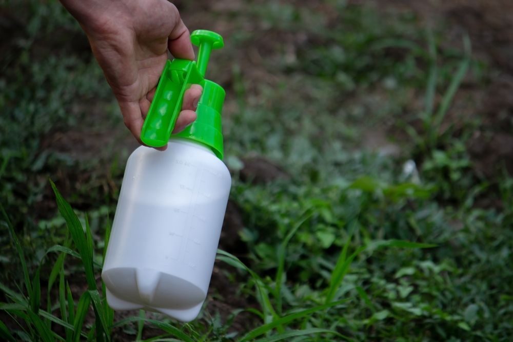 Hand holding a white and green spray bottle over green grass and dirt.