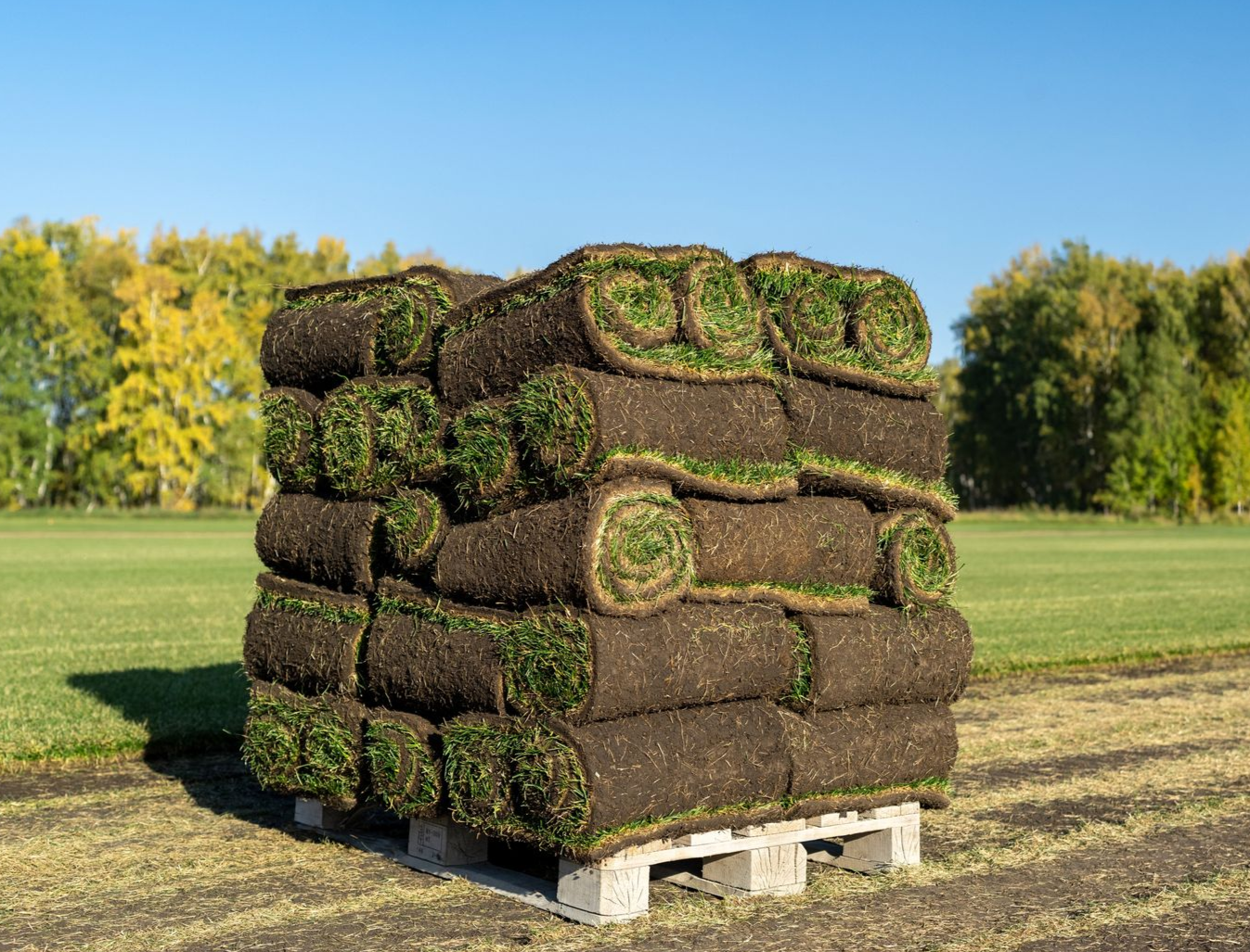 Rolls of artificial turf wrapped in clear plastic, green grass visible.