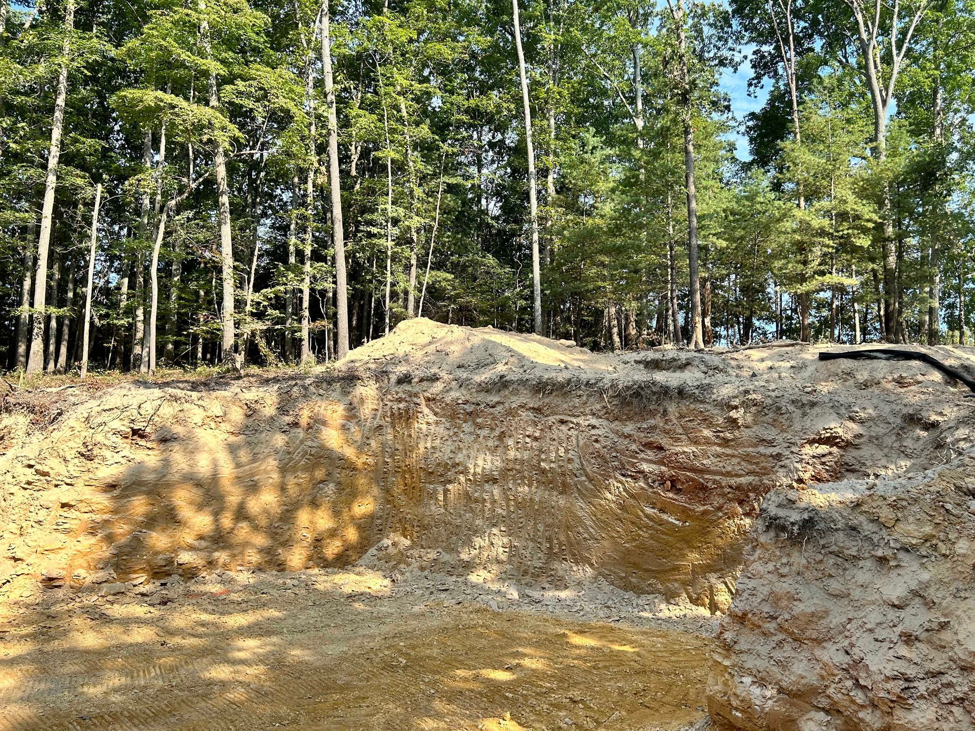 A large pile of dirt is sitting in the middle of a forest.