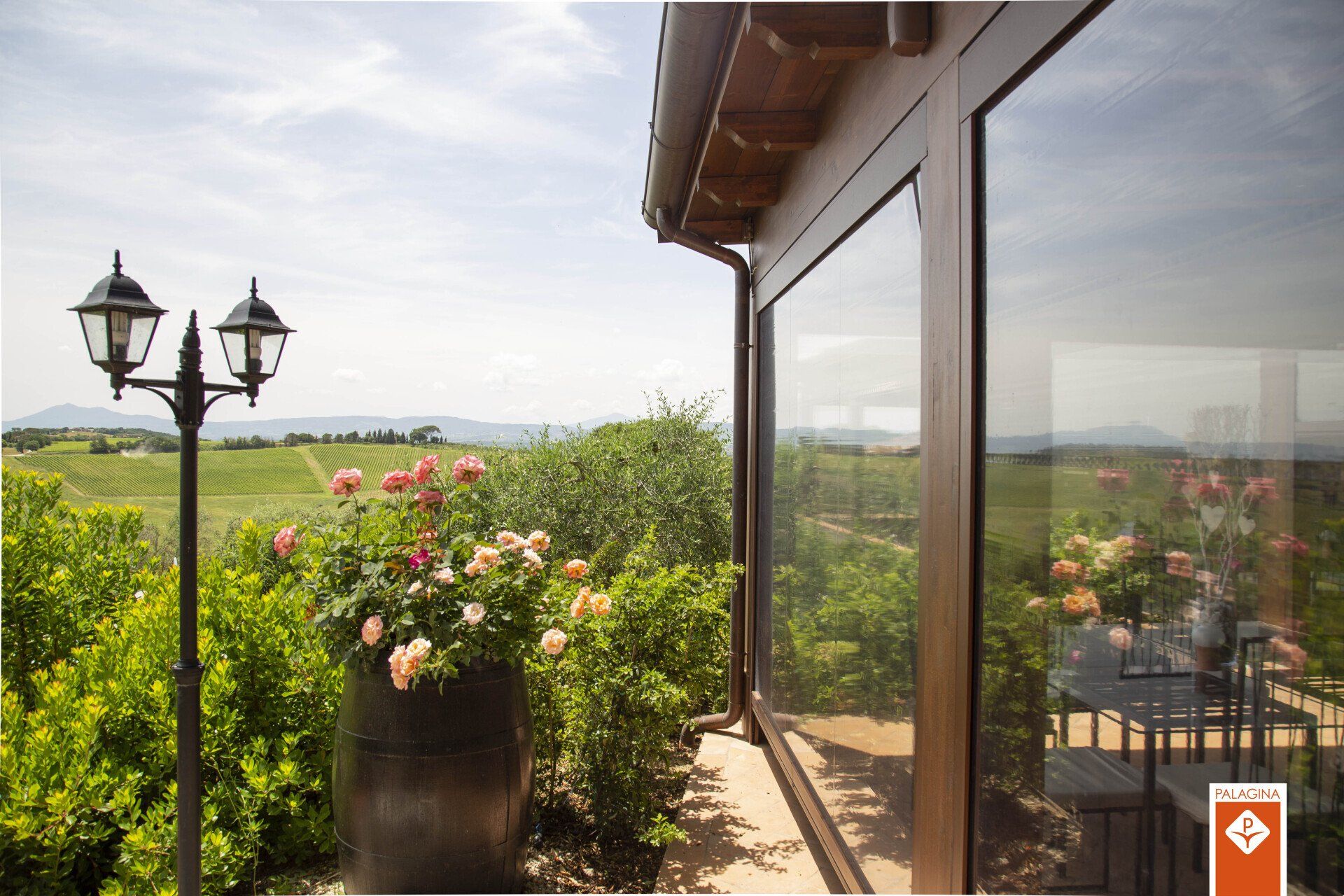 Vista da un balcone con rose in una botte, che domina un vigneto sotto un cielo azzurro.