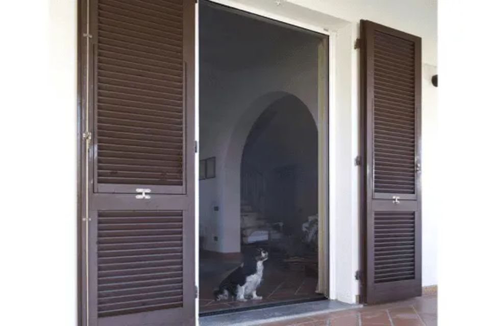 Persiane marroni incorniciano una porta con zanzariera. Un gatto bianco e nero è seduto all'interno.