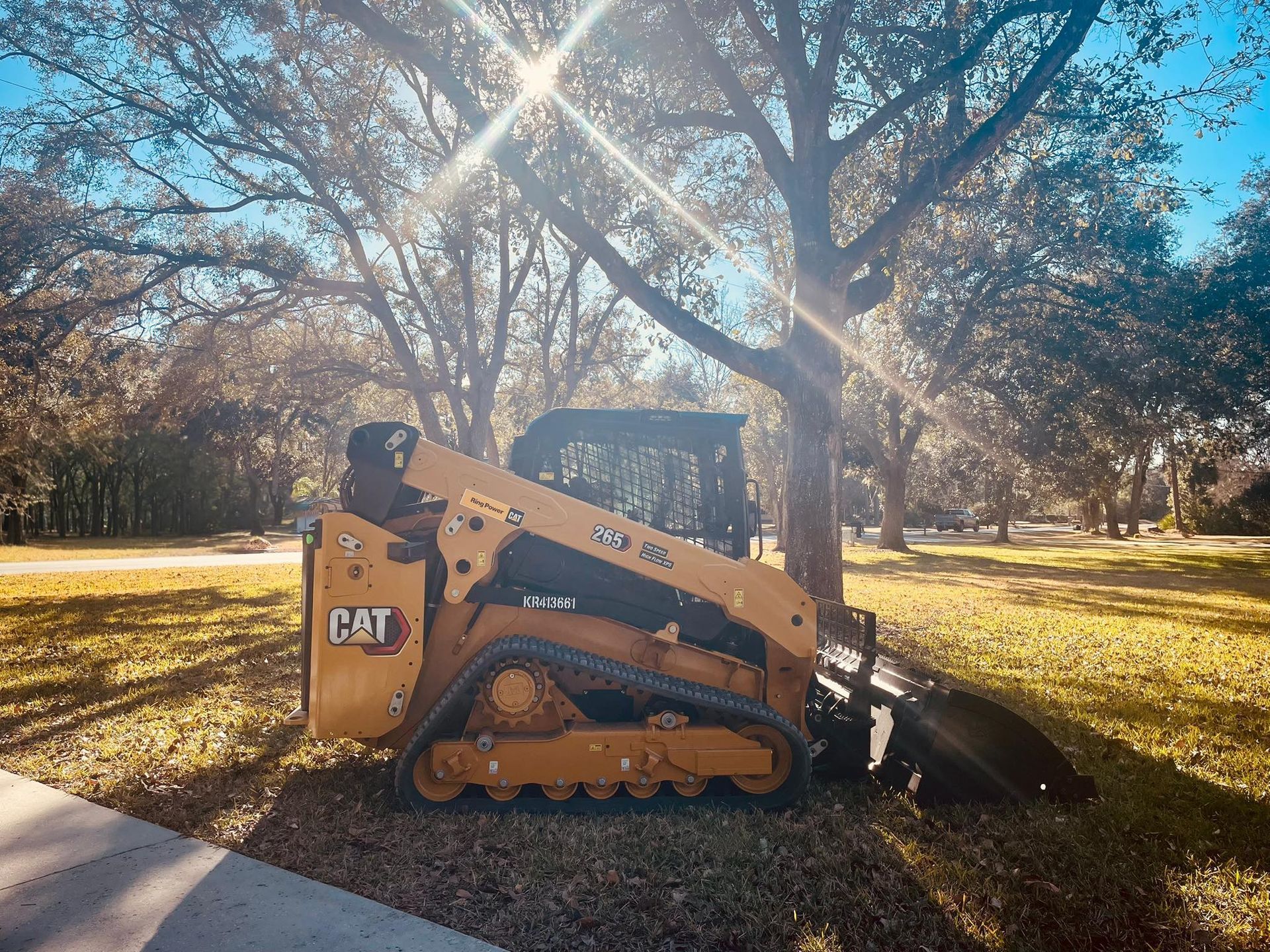 Yellow CAT skid steer parked on grass beside a sidewalk under sunlit trees.