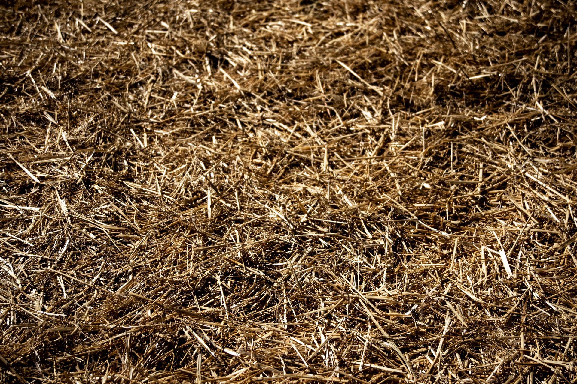 Pile of dry brown straw or hay filling the frame