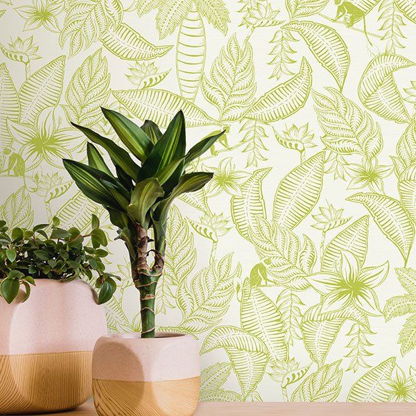 two potted plants are sitting on a table in front of a wall with green leaves on it