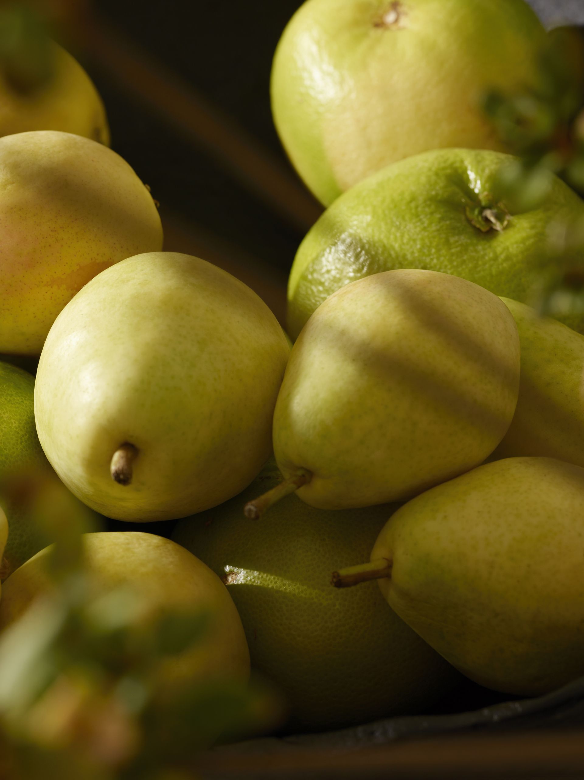 V-ZUG fruit
