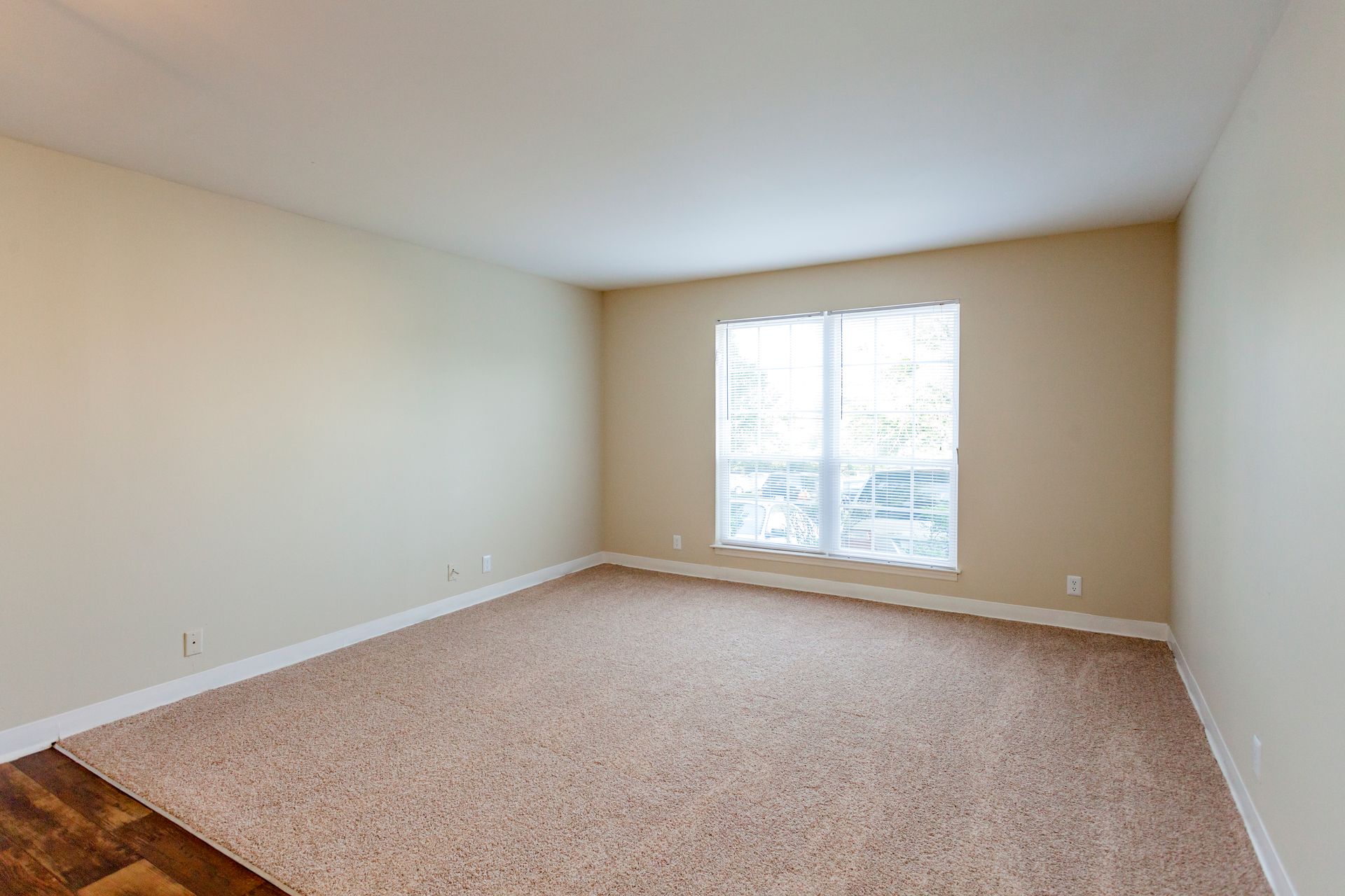 An empty, neutral-toned room with beige carpeting, plain light-colored walls, and a large window centered on the far wall.