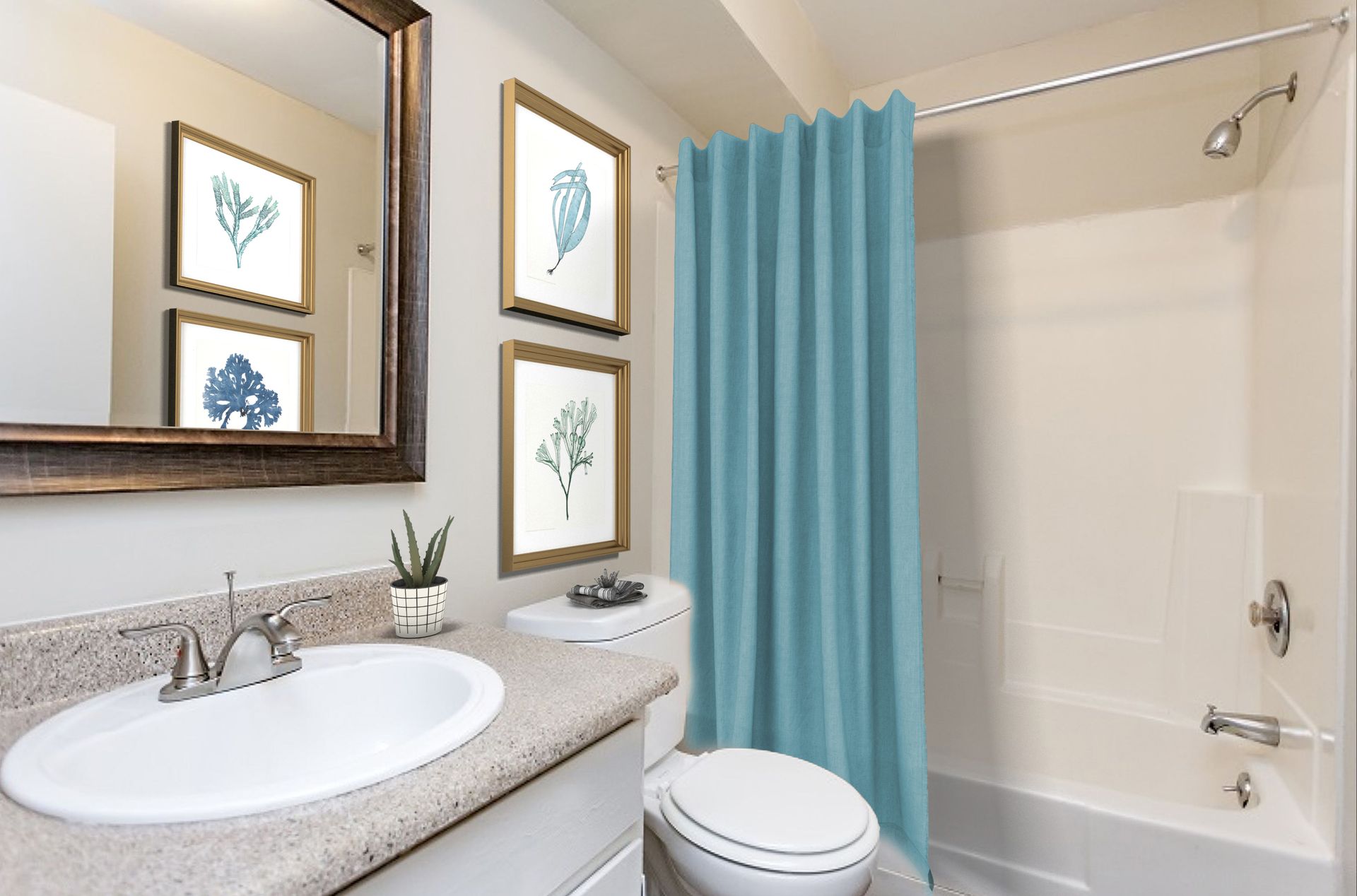 A bathroom with a white sink, a blue shower curtain, and framed nature prints hanging on the wall.