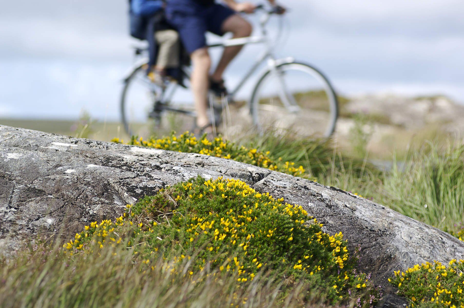 Bike Hire Bike Rental Ireland - Limerick Greenway