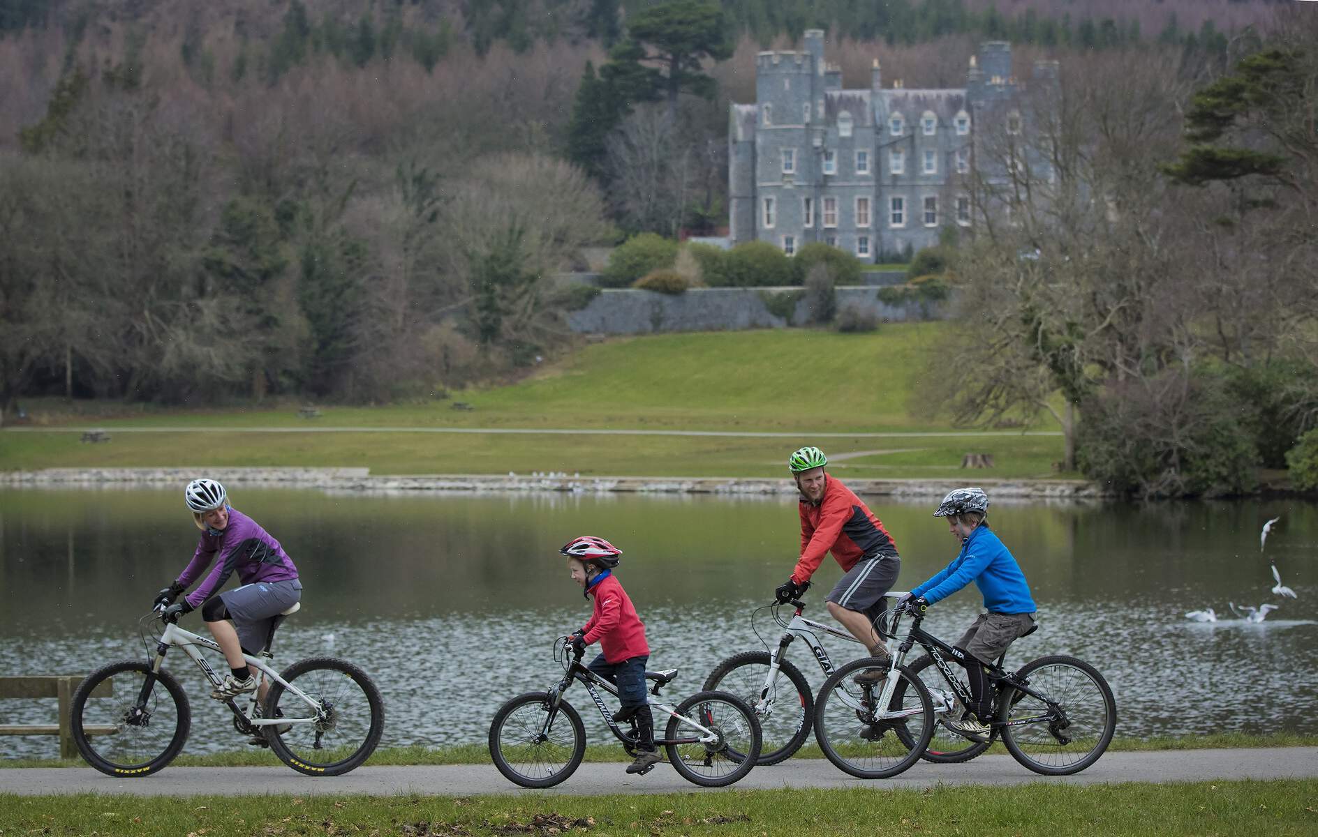 E-Bike Rental Ireland - Limerick Greenway