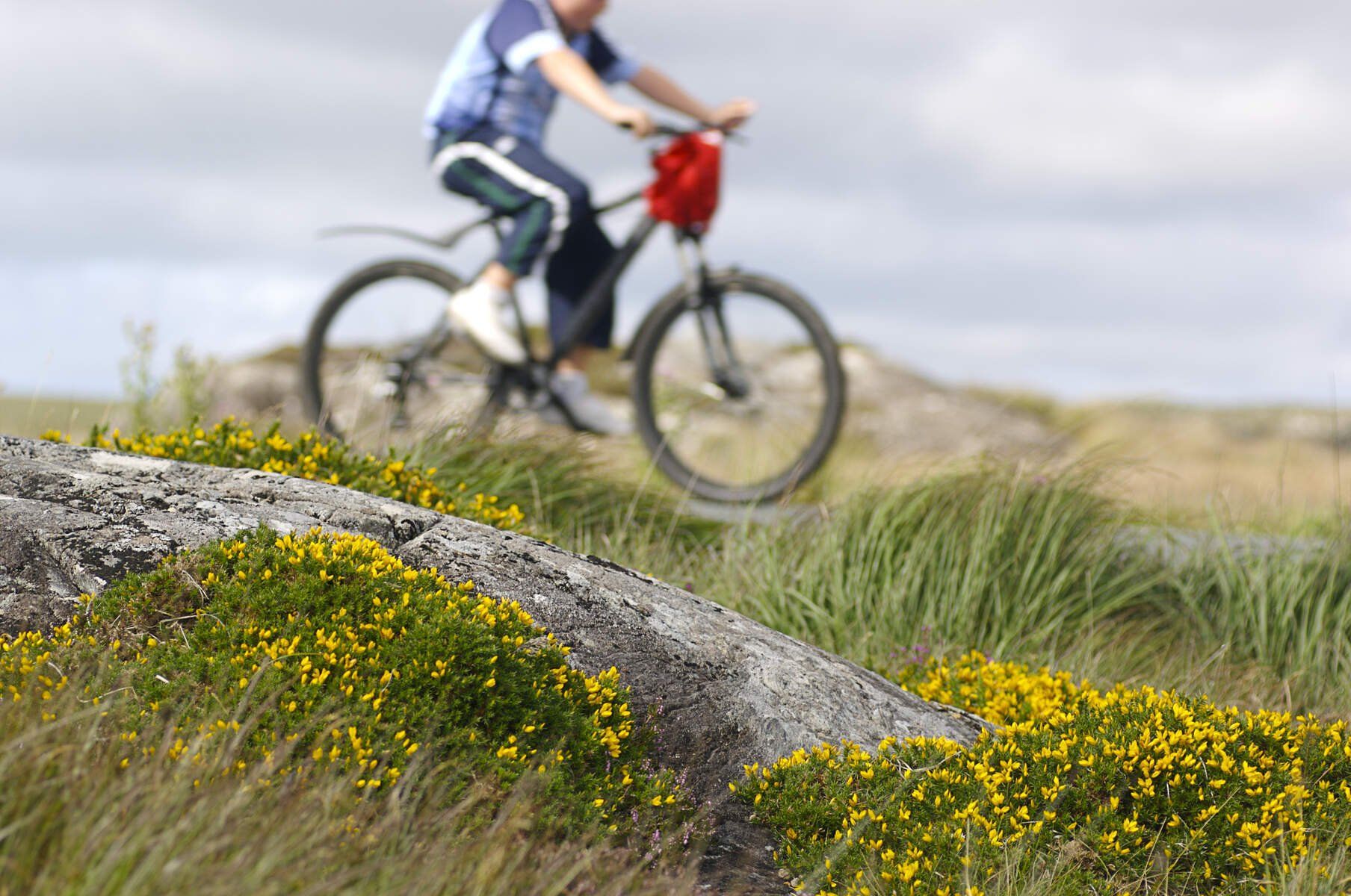Bike Hire Bike Rental Ireland - Limerick Greenway