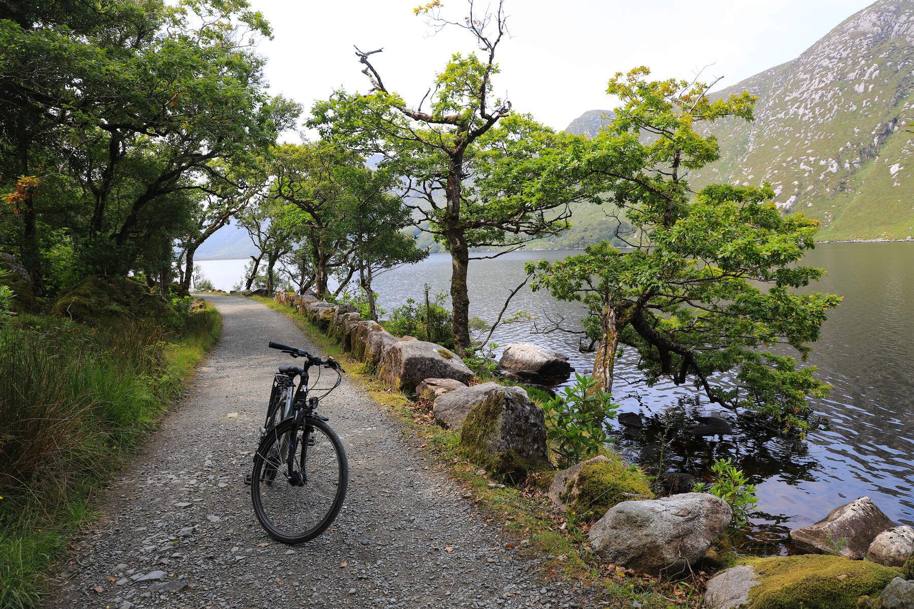 E-Bike Rental Ireland - Limerick Greenway