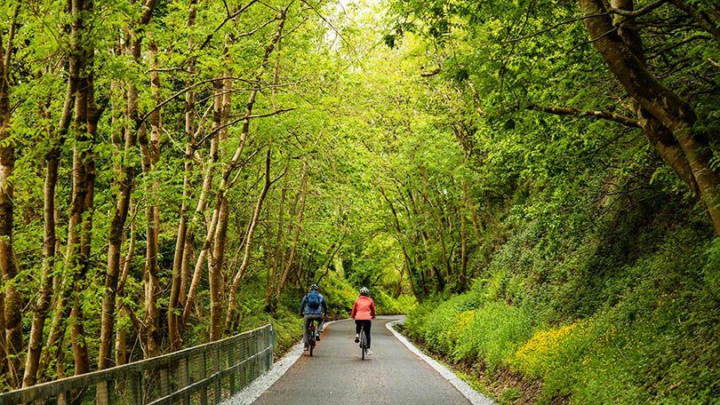 Children's Bike Hire Bike Rental Ireland - Limerick Greenway