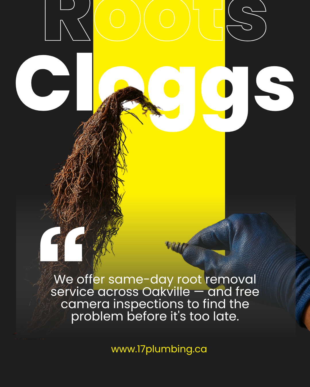 this is a roots picture that is causing a clogged captured by 17 plumbing plumber team