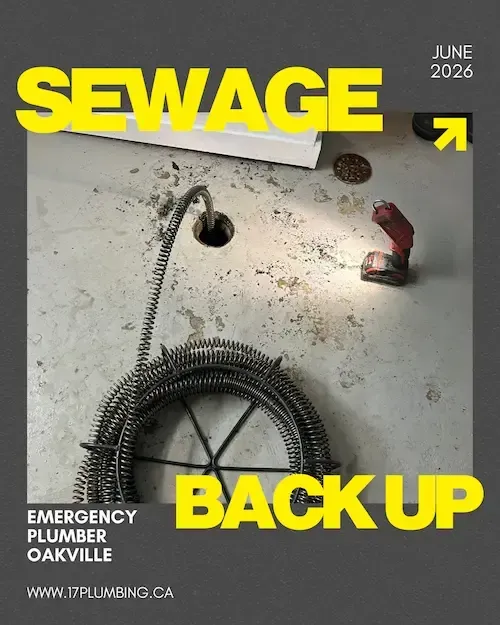 Sewage backup in an Oakville basement floor drain cleared by an emergency plumber