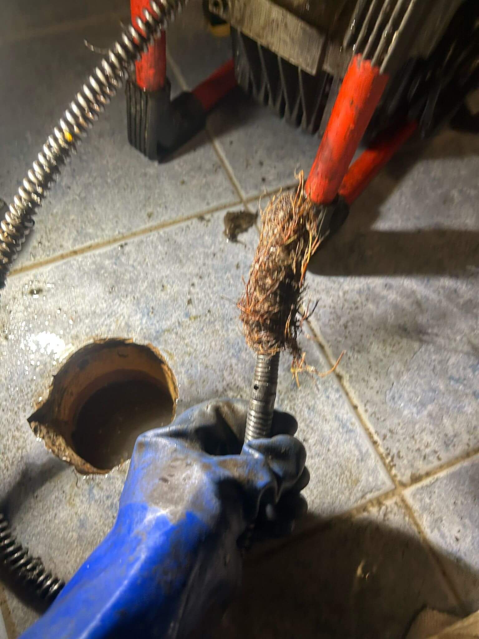 Drain snake machine removing tree roots from Oakville home's sewer line.
