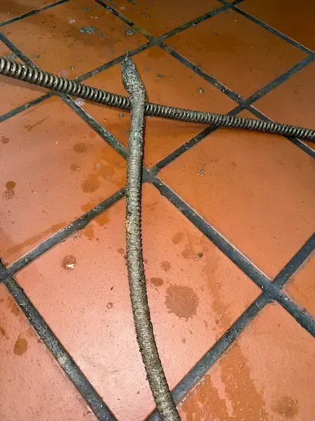 Red Seal plumber clearing main sewer line blockage in Mississauga home