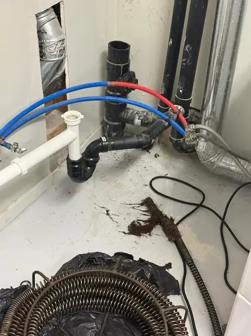 Emergency clogged drain service in Oakville — tree roots pulled from main sewer line during same-day call