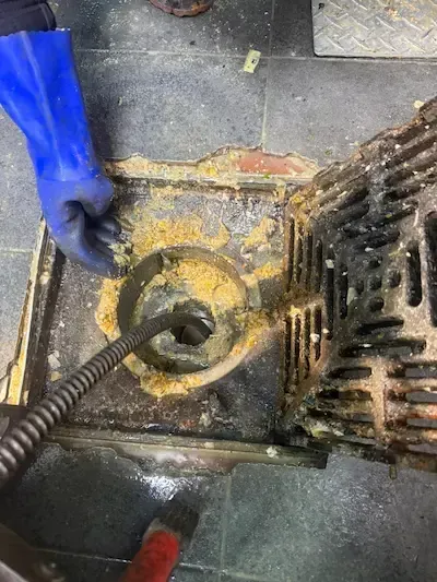 floor drain backing up with dirty water in commercial kitchen emergency plumber oakville clearing blockage