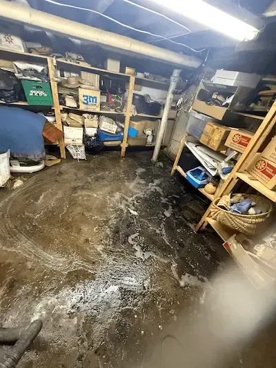 sewage backup in basement oakville water spreading on floor emergency plumber
