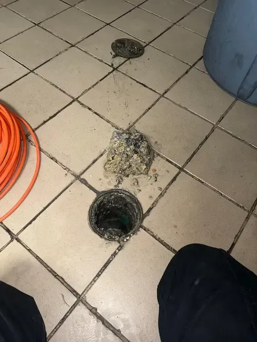 White grease and drain debris removed while clearing a floor drain backing up in Oakville.