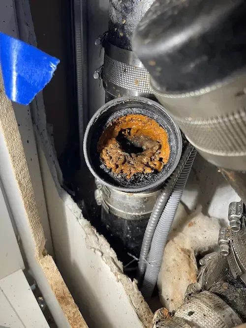 Grease and debris buildup inside drain pipe in Oakville requiring professional drain cleaning