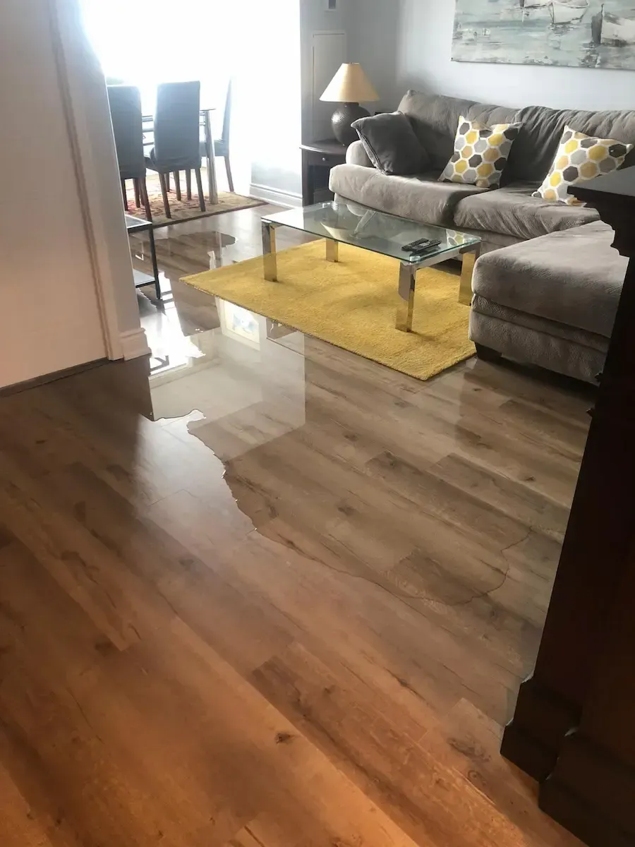 Basement flooding in Oakville home caused by plumbing emergency and water leak