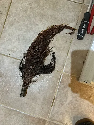 Tree roots removed from toilet drain access point in Oakville residential home during emergency drain service
