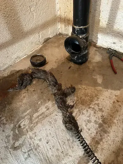 roots and debris found in the main drain in Oakville