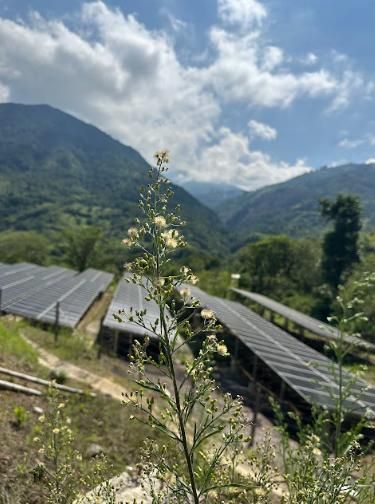 Paneles solares en una ladera con montañas y cielo nublado al fondo.