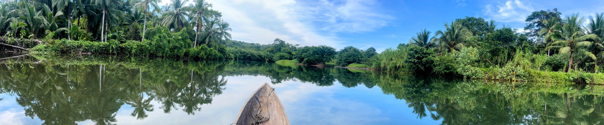 Un río tranquilo refleja exuberantes árboles verdes y un cielo azul brillante.