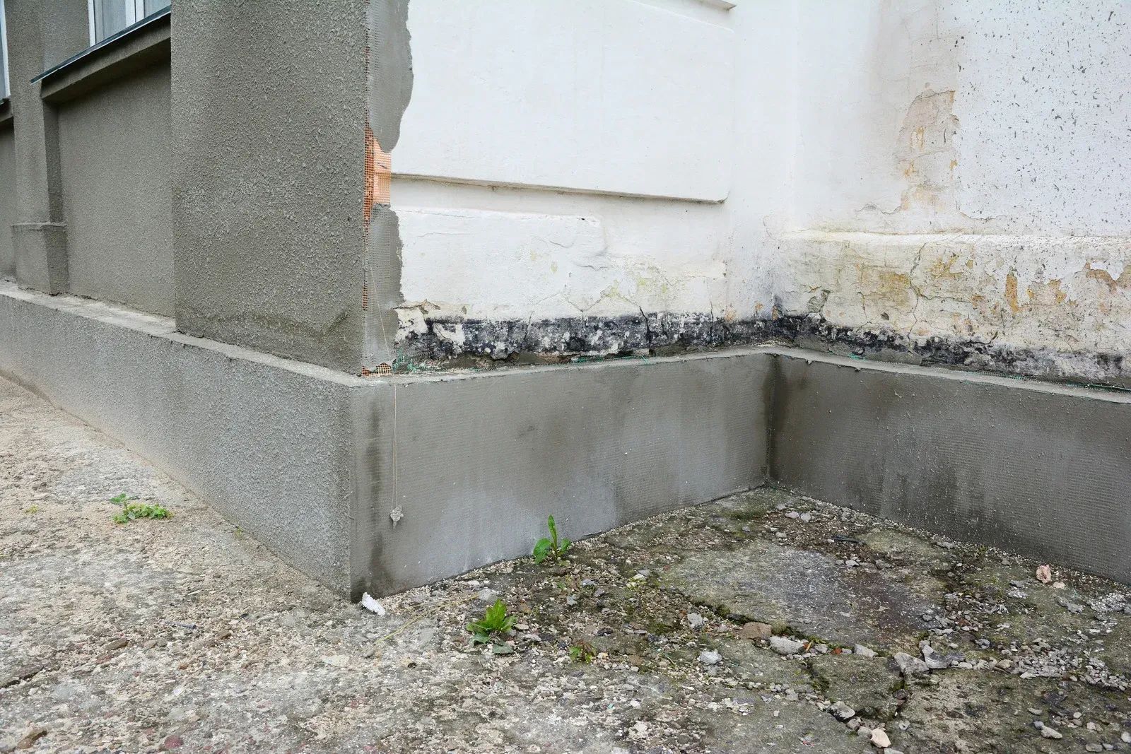 Corner of a building with damaged plaster and visible foundation; black mold present.