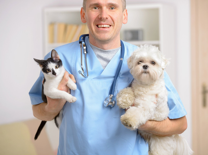 Pet Insurance Louisville, KY
