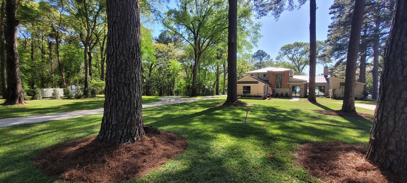 A tan house with a light-colored roof sits in a green, grassy yard framed by large pine trees.
