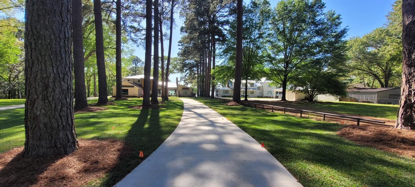 A paved walkway leads through a sunlit, tree-lined park toward buildings in the background.