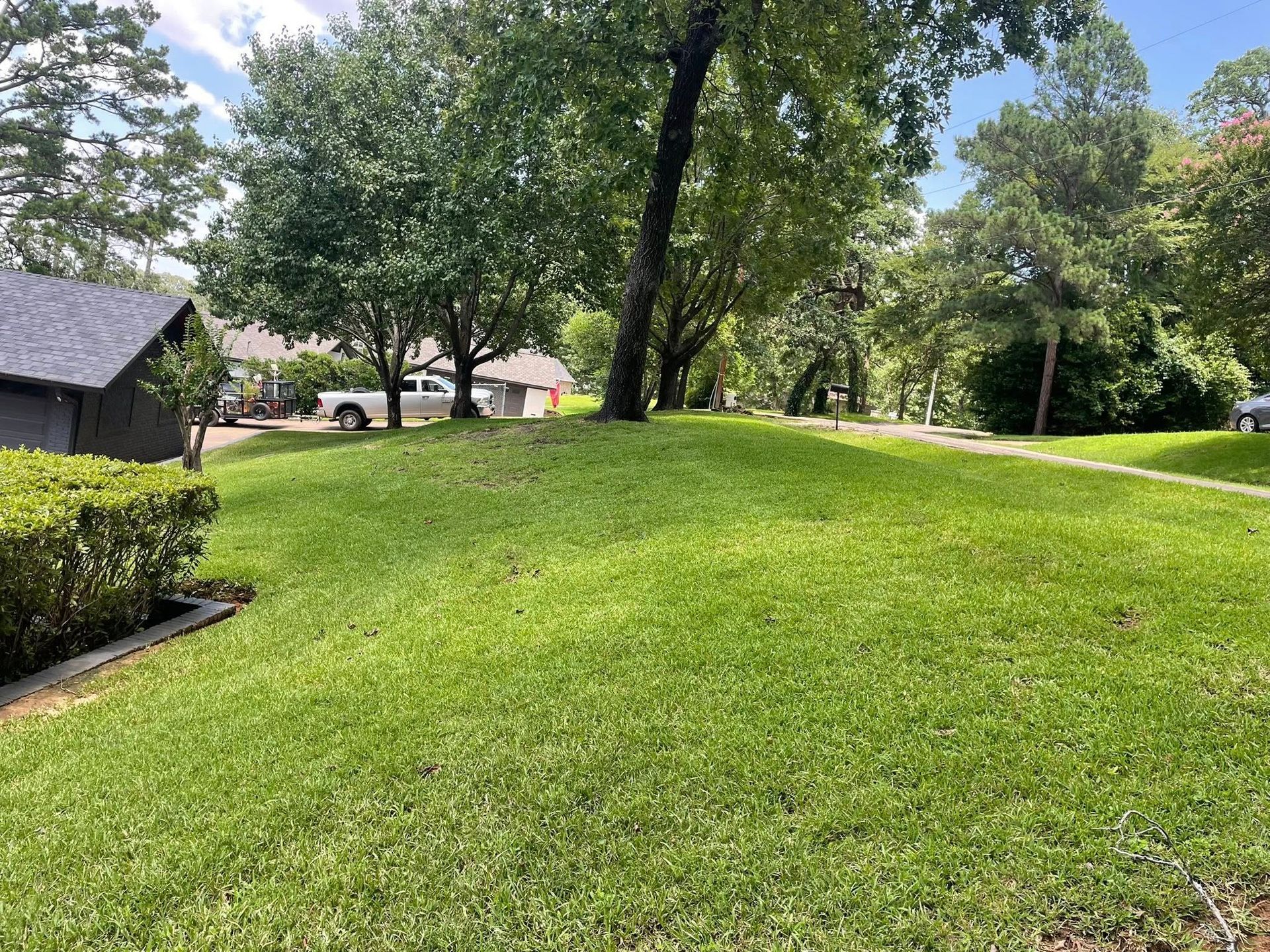 A grassy yard slopes upward toward a line of mature trees, with a suburban house visible in the background.