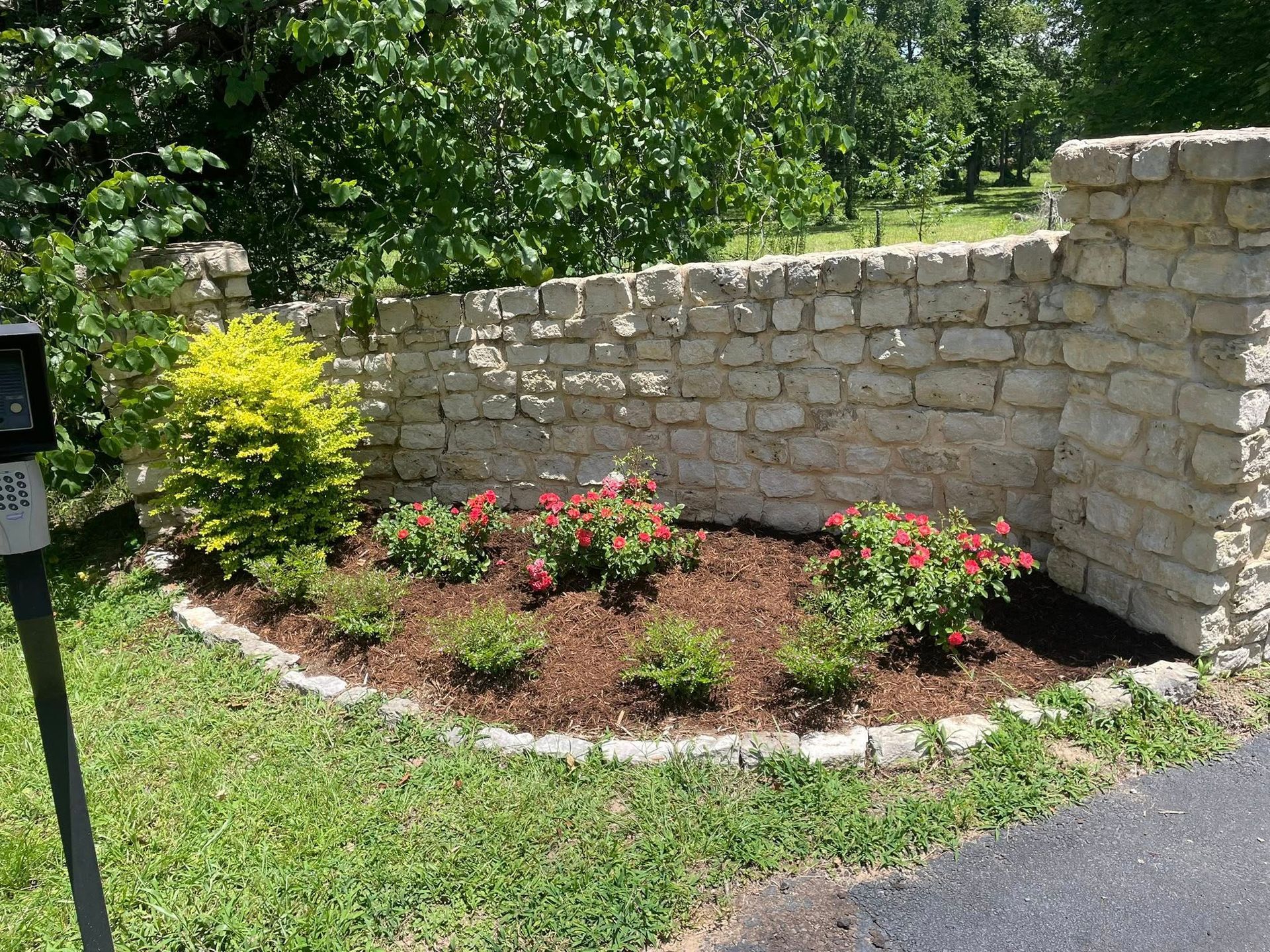 A stone wall curves behind a landscaped garden bed with red roses and a bright yellow bush, bordered by small stones.