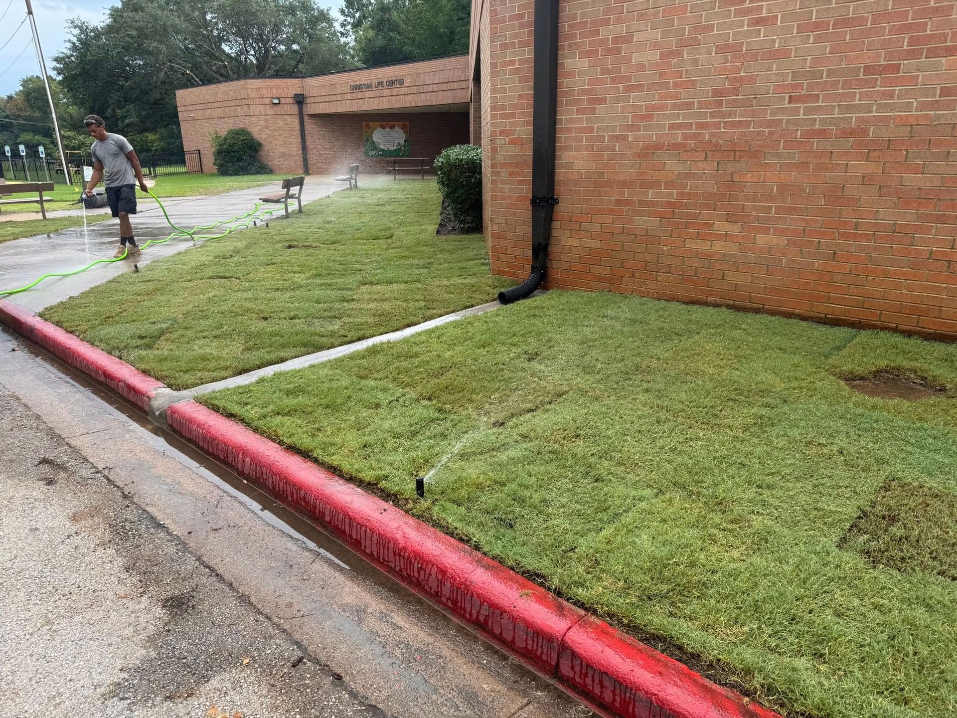 A person uses a hose to water freshly laid sod in front of a brick building with a red curb.