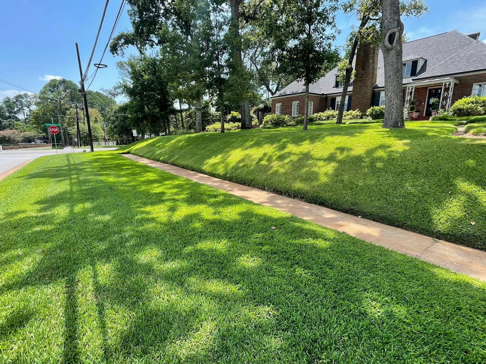 A green lawn slopes upward from a concrete sidewalk toward a house partially obscured by trees under a clear blue sky.