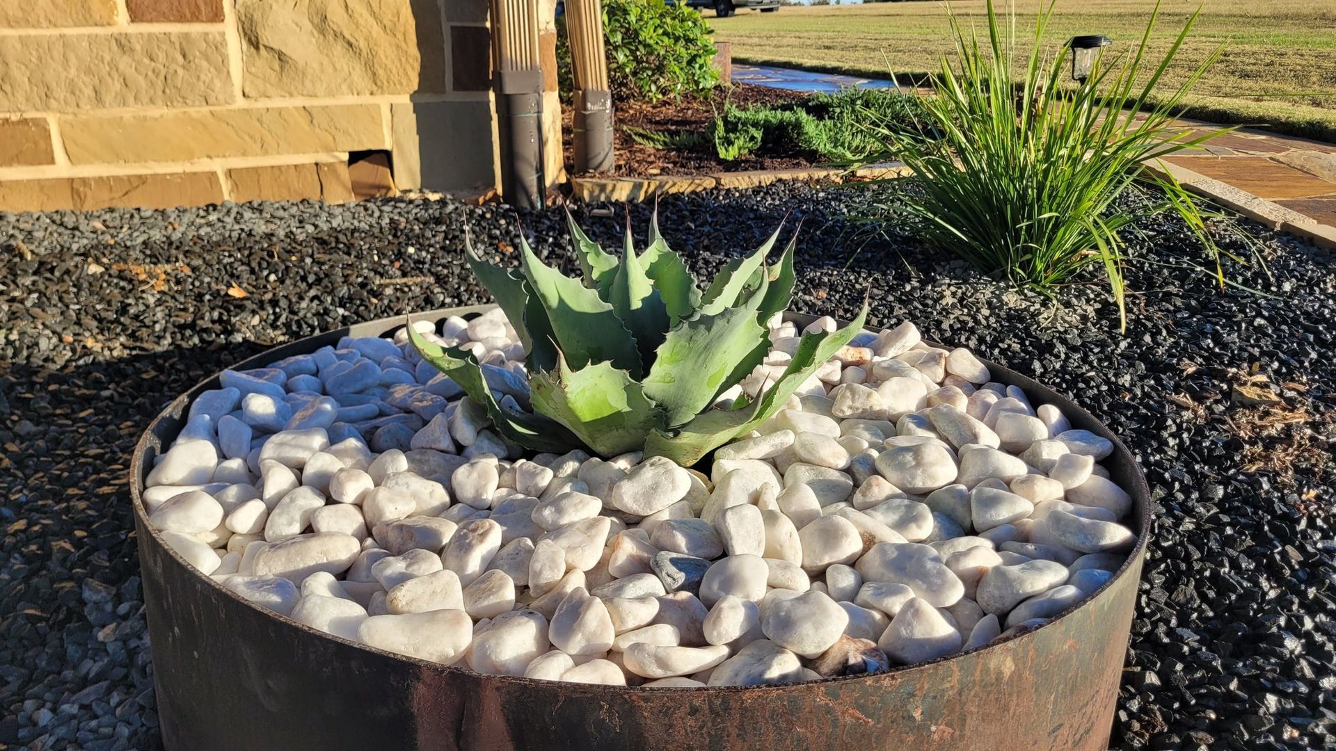An agave plant sits in a circular metal planter filled with white decorative stones, set against dark gravel.