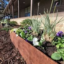 A rectangular, rusted metal planter box filled with purple and white pansies and tall green grass sits in a garden.