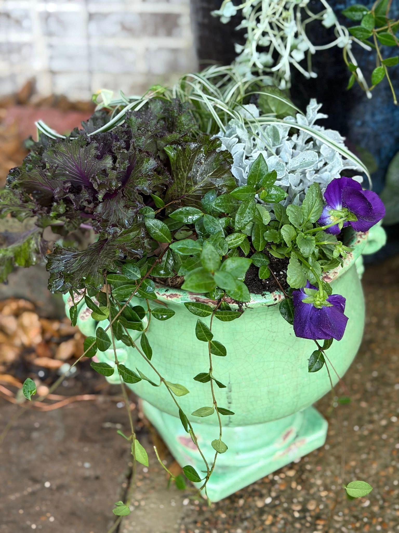 A green ceramic urn planter overflowing with purple kale, silver dusty miller, green foliage, and purple pansies.