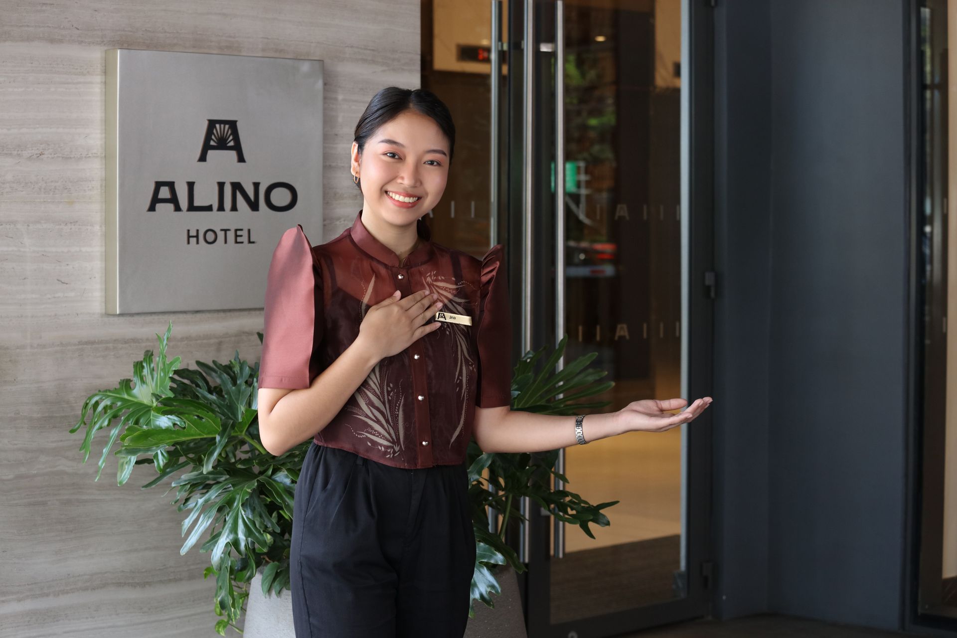 Introductory offer in Alino Hotel