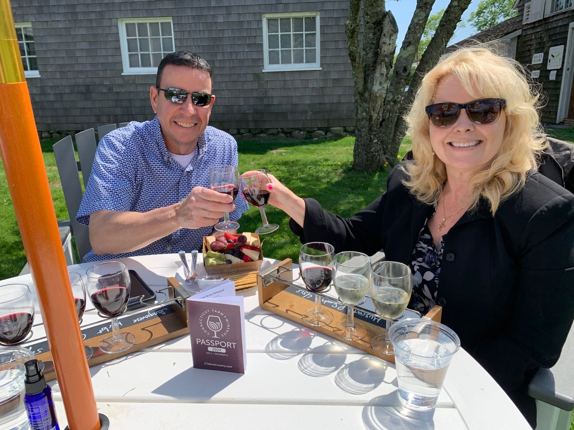 A man and a woman are sitting at a table toasting with wine glasses