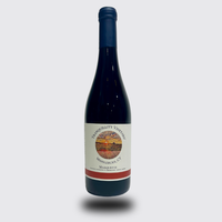 Dark glass bottle with a white label and red band on a light gray background