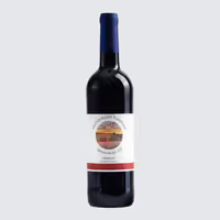 Dark wine bottle with a white label and blue cap on a light background